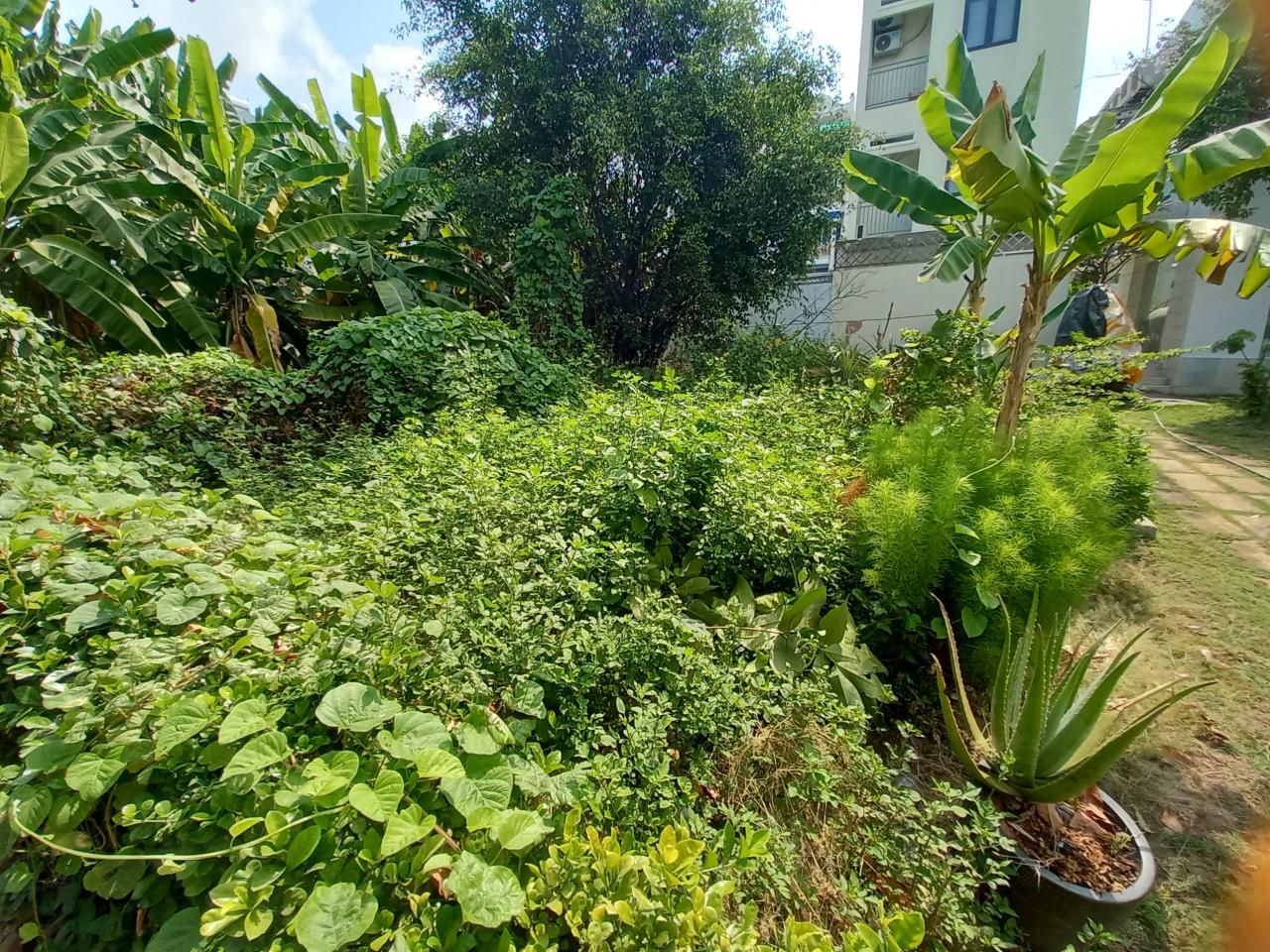 Bán đất Vườn Lài P. An Phú Đông Quận 12, Đường 6m, giảm giá còn 6.x tỷ - Ảnh chính